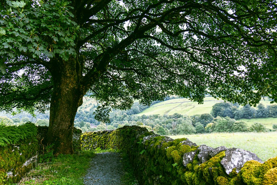 The Best Walking Routes Near Country Guest Houses